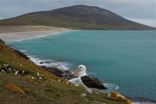 Falkland Eilanden weersvoorspelling