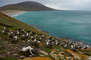 Falkland Islands weather forecast