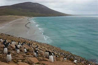 Falklandski otoci vremenska prognoza