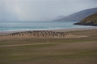 Falkland Islands weather forecast