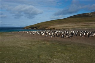 Falkland Islands weather forecast