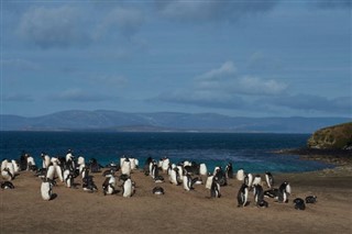 Falklandski otoci vremenska prognoza