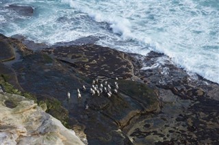 Falkland Islands weather forecast