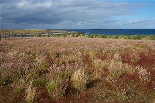 Falklandski otoci vremenska prognoza