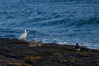 Falklandinsaaret sääennuste