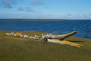 Falkland Islands weather forecast