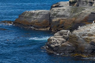 Falkland Islands weather forecast