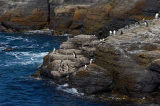 Falkland Islands weather forecast