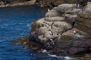 Falkland Islands weather forecast