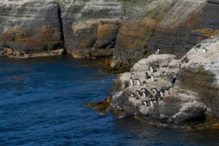 Falkland Islands weather forecast