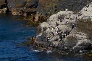 Falkland Islands weather forecast