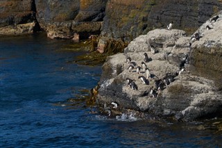 Falkland Islands weather forecast