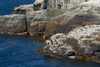 Falkland Islands weather forecast