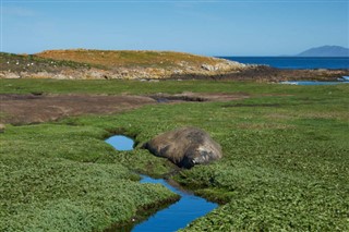 Falklandski otoci vremenska prognoza