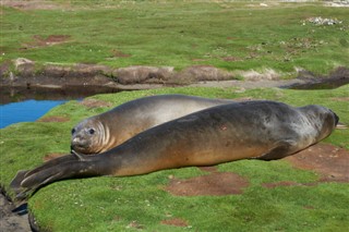 Falkland Islands weather forecast