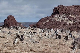 Falkland Islands weather forecast