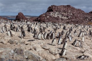 Falkland Islands weather forecast