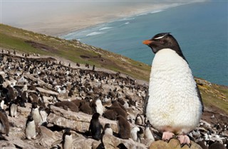 Falkland Islands weather forecast