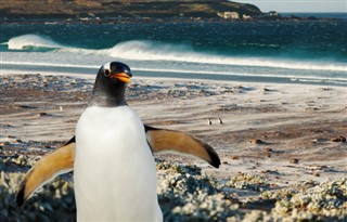 Falklandy prognoza pogody