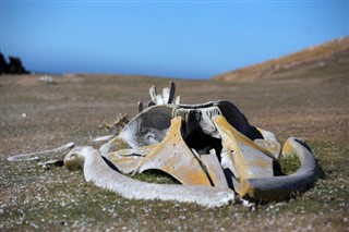 Falkland Islands weather forecast