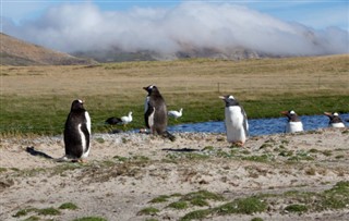 Falkland Islands weather forecast