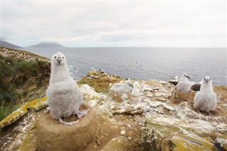 Falkland Islands weather forecast