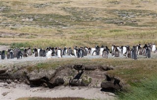 Falkland Islands weather forecast