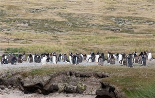 Falklandy prognoza pogody