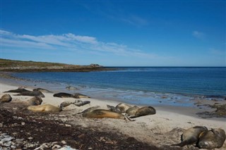 Falkland Islands weather forecast