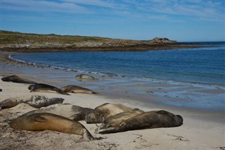 Falkland Islands weather forecast