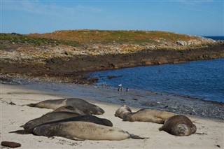 Falkland Islands weather forecast