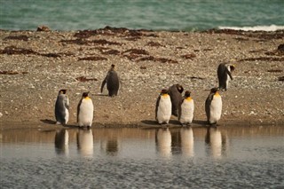 Islas Malvinas pronóstico del tiempo