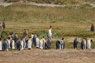 Falklandy prognoza pogody