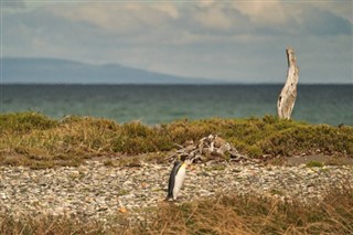 Falkland Islands weather forecast