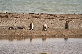 Falklandy prognoza pogody