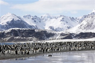 Falkland Islands weather forecast