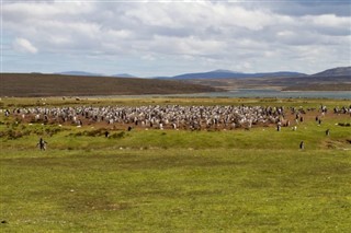 Falklandski otoci vremenska prognoza