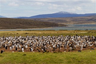 Falkland Islands weather forecast