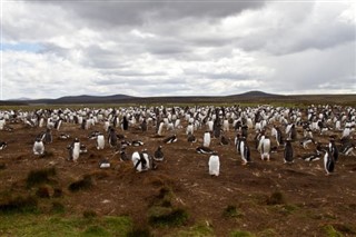 Falklandski otoci vremenska prognoza