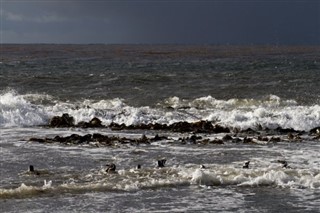 Falkland Islands weather forecast