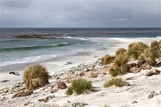 Falkland Islands weather forecast