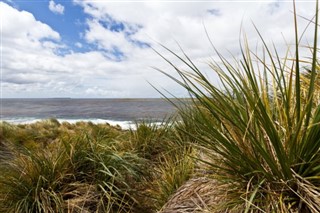 Falkland Islands weather forecast