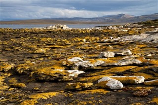 Falklandy prognoza pogody