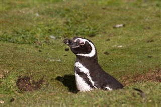 Falklandinsaaret sääennuste