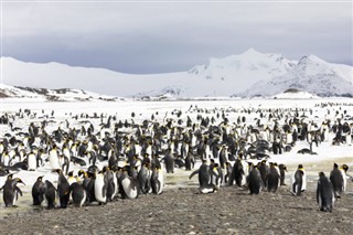 Falkland Islands weather forecast