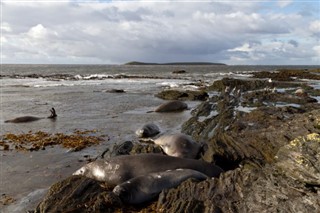 Falkland Islands weather forecast