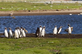 Falkland Islands weather forecast