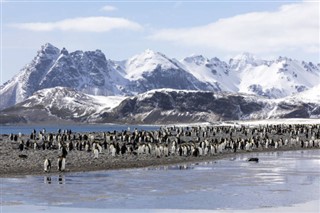 Falkland Islands weather forecast