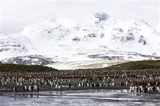 Falkland Islands weather forecast