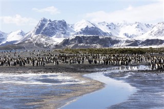 Falkland Islands weather forecast